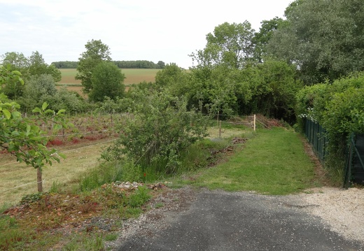 011-20160525-082751-Jousselinière