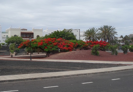 20230605-133024-Lanzarote-PlayaBlanca