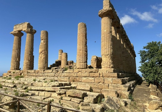 20240528-094006-Sicile-Agrigento-Valle dei templi-Temple de Junon