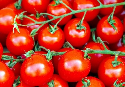Tomate cerise