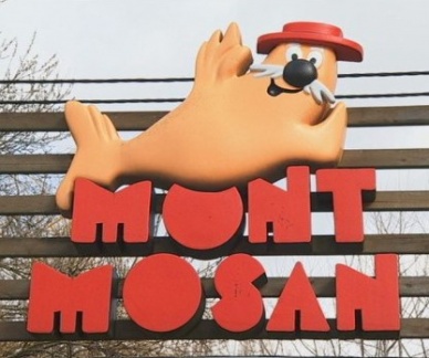 1488471256124 2017030252 mont mosan 