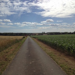 01- La Jousselinière