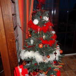 Fêtes de fin d'année