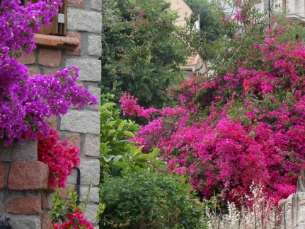 20140615-152333-Corse-Cargese