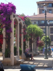 20140621-104127-Corse-Ajaccio