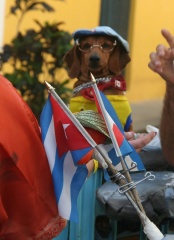 20120121-140125-LA  HAVANE