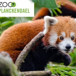 Fête des pères à Planckendael