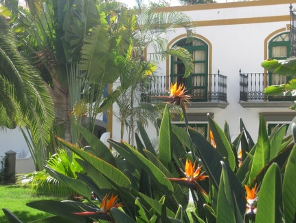 20101001-125434-Gran Canaria