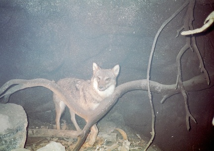 19930810-Vendée - puy du fou 01