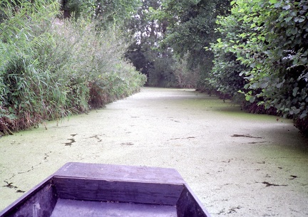 19920810-Marais poitevin-01