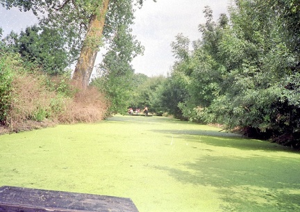 19920810-Marais poitevin-02