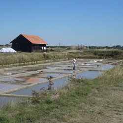Sainte-hilaire de riez - Les marais salants de la Vie