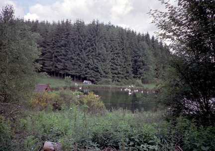 19960701-184933-Fagnes02