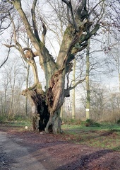 19960812-070847-Adeps- 01