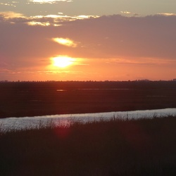 Puyravault - Balade insolite