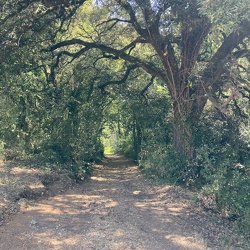 L'hermenault - Balade